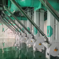 Kohlenstoffstahl TDTG-Serie Schaufeltransporter mit HDPE-Schaufeln / Lebensmittelgeeigneter Reis-Transporter / Vertikalförderer für Lebensmittelfabriken, atmungsaktiv