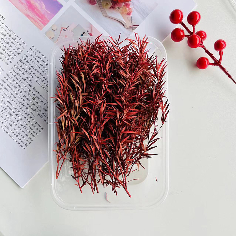 Lasagna rossa oro 10g