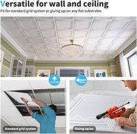 Paneles de Techo de PVC Resistentes al Fuego, Paneles de Techo Adhesivos para Evitar Roturas, Cubren 48 Pies Cuadrados Decoración de Pared de Lámina de Plástico Blanca