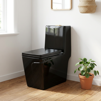 WC monobloc carré en céramique de luxe moderne avec chasse d'eau siphonique, sortie en S ou en P, et abattant à fermeture douce