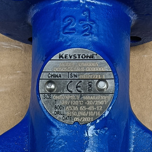 Vanne papillon à siège résilient Keystone F320 T116, manuelle, type Wafer, PN16, siège EPDM/NBR, pour CVC/traitement de l'eau/industrie alimentaire - Product Image 1