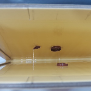 Plaques collantes pour souris, adhésif puissant, attrape-rongeurs pour la maison - Product Image 2