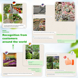 <span class=keywords><strong>Pannello</strong></span> <span class=keywords><strong>LED</strong></span> Quantum da 15W per Coltivazione Indoor di Verdure e Fiori, in Alluminio con Grado di Protezione IP65, con <span class=keywords><strong>LED</strong></span> <span class=keywords><strong>Samsung</strong></span> LM281B+ Pro - Product Image 2