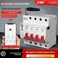 Disjoncteur intelligent 4G 6kA bipolaire Graffiti avec contrôle à distance Wi-Fi pour téléphone portable, interrupteur temporisé pour pompe à eau