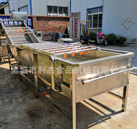 Fabriek Groothandel Fruit Bubbel Wasmachine Appel Oranje Aardbei Cherry Citroen Mango Tomaat Wasmachine Geleverd 1 Set 300 600Mm