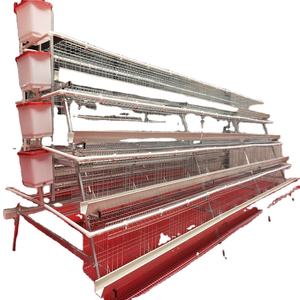 Otomatik A tipi döşeme tavuk yumurta tabakası pil tavuk kafesleri ekipmanları - Product Image 1