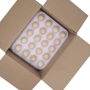 Самый популярный вспененный лист для продажи, защитная амортизация лотков для упаковки яиц - Product Image 6