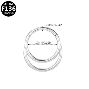 Vente en gros ASTM-F136 titane 16g 10mm anneau de nez Septum classique Style Punk Zircon enfants fiançailles Clickers pour les fêtes - Product Image 3