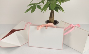 Good Quality Manufacturers Wholesale Simple Fashion <strong>Exquisite</strong> Gift <strong>Box</strong> + <strong>Paper</strong> Bag Set - Product Image 5