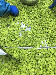 Haricots verts entiers surgelés IQF <span class=keywords><strong>de</strong></span> qualité supérieure pour accompagnement <span class=keywords><strong>et</strong></span> apéritif - Product Image 4