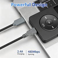Câble Mini USB Type-C 2 m avec gaine en PVC et blindage en feuille d'aluminium pour lecteurs MP3/MP4, caméras embarquées, appareils photo numériques, récepteurs GPS