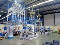 Machine à film soufflé automatique Debang 3DB-A 2400 à co-extrusion trois couches PE/LLDPE/LDPE/HDPE/EVA pour film de paillage recyclé et sacs de livraison