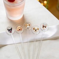 Agitateurs à Boissons Personnalisés en Acrylique avec Photo d'Animal de Compagnie – Bâtonnets à Café en Plastique Transparent pour Mariages, Fêtes et Bars