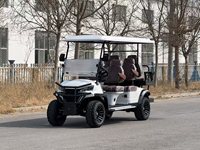 Voiturette de golf électrique tout-terrain 2 places au design luxueux, homologuée pour la route, batterie 60V, mini-voiturette de golf personnalisable