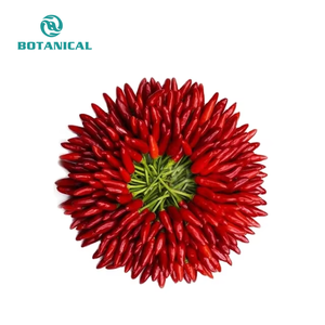 En iyi fiyat saf doğal beyaz sarı yeşil kırmızı 10:1 Capsicum özü acı kırmızı biber özü tozu gıda takviyesi için - Product Image 3