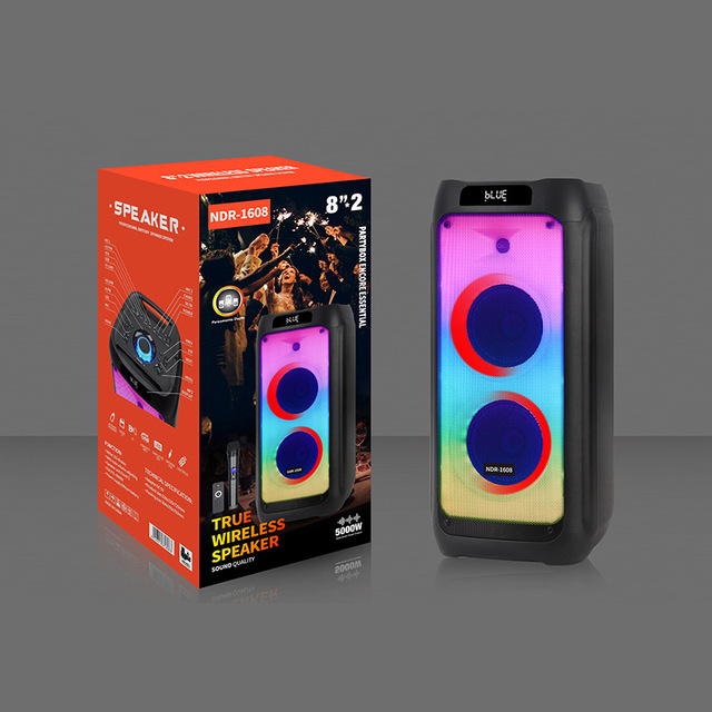 NDR-1608 Double 8 Inch Dual Bass Audio Player RGB LED Lighting Mic DC Power for Parties Connect Mobile Phones