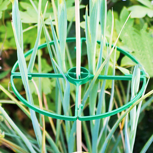 Anneau de soutien pour plantes en plastique vert réglable pour treillis de jardin et plantes grimpantes - Product Image 6