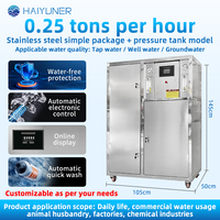 Système de purification d'eau certifié CE avec une capacité de 250 LPH, équipement de filtration pour puits profonds destiné aux villages