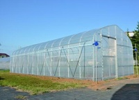 Goedkope commerciële enkelspannings-landbouwkas met verzinkt stalen frame