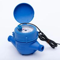 2023 WESDOM ventes directes d'usine RS485 /MODBUS impulsion intelligent compteur d'eau froide et chaude personnalisé compteur à distance photoélectrique