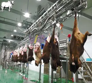 Mesin pengolahan daging sapi Halal Islam, mesin Abattoir ternak, peralatan pemotongan sapi rel