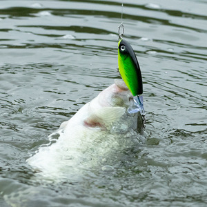 Leurre de surface Ikeba Topwater Pencil Lure avec rotation de la queue à 360 degrés, flottant, pour la pêche au bar - Product Image 2