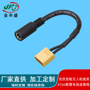 JFS Golden Peak XT60 Connection Cable 2P High Current Plug For Drones And Model Aircraft - Product Image 3