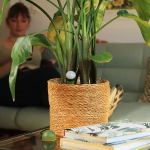 CITICITY เซ็นเซอร์วัดความชื้นในดินแบบสองหัวสำหรับพืชในบ้าน สวน สนามหญ้า ฟาร์ม เครื่องวัดความชื้นในดิน เครื่องตรวจสอบน้ำพืช ใช้งานง่าย - Product Image 4