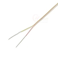 Kabel Khusus Suhu Tinggi Berinsulasi PFA TT-K-30-CH 2*30AWG Kawat Termokopel Tipe K