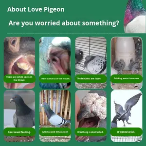 טיסה יונים ירידה של 2 ב-1-1 כדי ניקוי נשימתי 100 טבליות/בקבוק לשפר את בריאות הציפור - Product Image 4