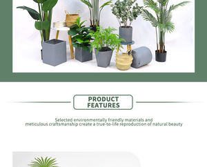 Grand Arbre Artificiel Monstera <span class=keywords><strong>Albo</strong></span> Vert en Plastique Durable pour Décoration d'Intérieur - Product Image 4