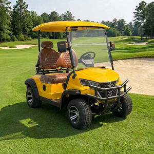Voiturette de golf économique, fiable et à faible consommation d'énergie, 2 places, fabriquée en Chine, performances élevées, atteint jusqu'à 30 km/h pour des déplacements rapides - Product Image 2