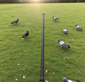 <span class=keywords><strong>HF</strong></span> антенна расширяемая мачта/телескопическая мачта радио/телескопическая антенна мачта - Product Image 6