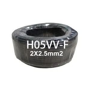 h05vv-f 2X2.5 mm2 VDE标准橙色聚氯乙烯电线电缆