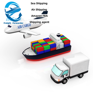 DDP expédition moins cher de la Chine vers le monde entier transitaire international de la Chine - Product Image 3