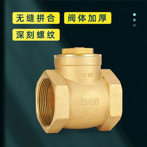 Vanne de retenue unidirectionnelle horizontale à joint souple 4/6/1 pouce en cuivre pour le contrôle de l'alimentation en eau, des milieux acides, huileux et gazeux - Product Image 5