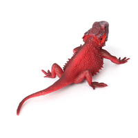 Figurines d'animaux en PVC massif, modèle de simulation de lézard agama à tête plate, vente en gros