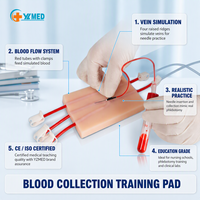 Modèle d'entraînement à la ponction veineuse IV, simulateur d'injection cutanée pour la collecte de sang intraveineux, enseignement médical CE/ISO