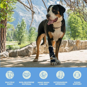 Nefes Alabilen Yumuşak Neopren Eklem Desteği Rehabilitasyon Ayarlanabilir Yaralanma İyileştirme Küçük Büyük Evcil Köpek Bacak Desteği - Product Image 3