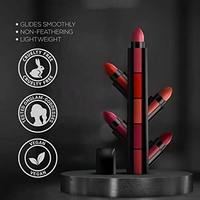 Rouge à lèvres cosmétique minéral mat naturel 5-en-1 populaire, design multi-niveaux noir, créez votre propre marque privée
