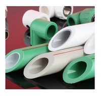 Plastiques Matériaux de plomberie Vente chaude Allemagne Ppr Tuyau et raccord Tuyaux en plastique standard Din de haute qualité Dn25