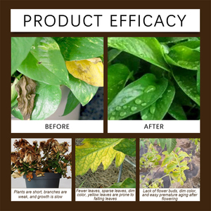 MoonSpry Activateur de sol source minérale, favorisant la croissance, augmentant le rendement, améliorant la fertilité et la structure du sol, et anti-maladies - Product Image 5