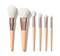 YRX Premium Mini 6 pièces pinceaux de maquillage de voyage coffret cadeau maquillage de voyage outil de mélange doux sans couture pinceaux d'artistes de maquillage