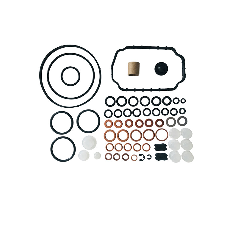 Diesel Fuel Injection Pump Repair Kits 1467 010 520(800735) 1467 010 467(800159)