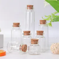 Mini Clear Glass Bottle with Cork Stopper, Empty Spice Jars