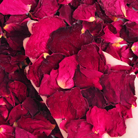 Pétales de rose séchés Chazi en gros, directement de la plantation, pour le thé aux fleurs, les bougies et les soins de la peau