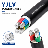 Câble chauffant électrique antidéflagrant en aluminium de haute qualité YJLV pour usage industriel, isolation nue, souterrain, 250V 1*0.5mm