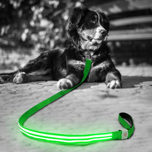 Collar LED para perro, iluminación segura nocturna, correa para perro grande, plomo para caminar - Product Image 3