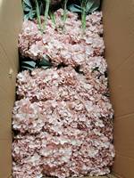 Susunan Bunga Hydrangea Sutra Imitasi Warna Blush Ivory untuk Dekorasi Lorong Pernikahan dan Latar Belakang Acara