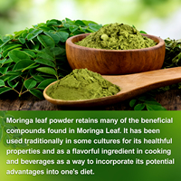 Ekstrak Daun Moringa Organik Grosir, Herbal Moringa En Poudre Polvo 1kg Harga Bubuk Moringa Murni Alami